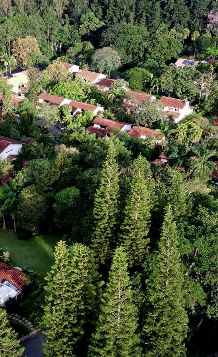 Vista aérea das casas entre as árvores do Residence Park