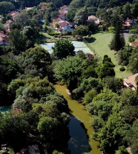O lago visto do alto, entre a mata